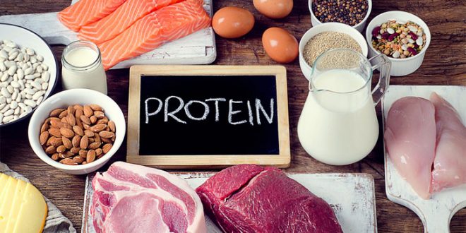پروتئین چیست؟ و مقدار پروتئین مورد نیاز برای فعالیت های ورزشی چقدر است؟