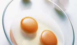 آشنایی با بهترین منبع پروتئین تخم مرغ