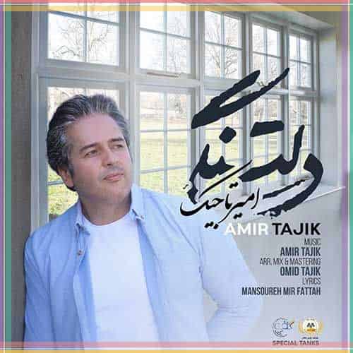 متن آهنگ دلتنگی از امیر تاجیک