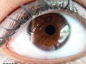 چرا چشم قهوه‌ای‌ها قابل اعتمادتر هستند؟
