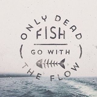 فقط ماهی مرده در مسیر رودخونه حرکت میکنه