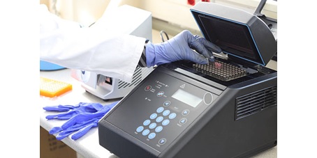 راهنمای حل مشکلات پی سی آر PCR