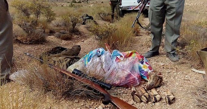 شکارچیان حیوانات نادر در تفت دستگیر شدند
