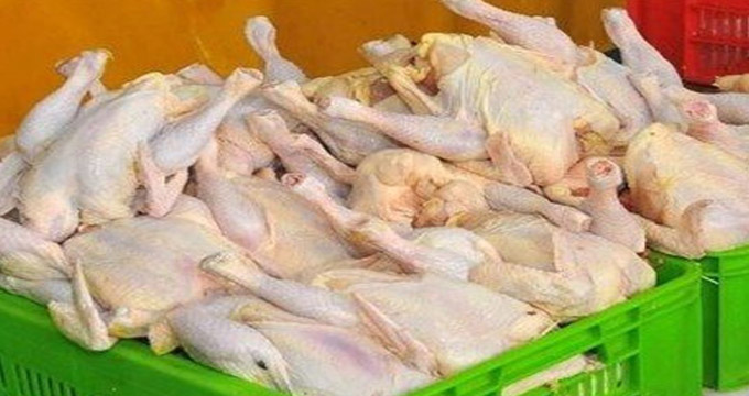 دلایل افزایش قیمت مرغ اعلام شد