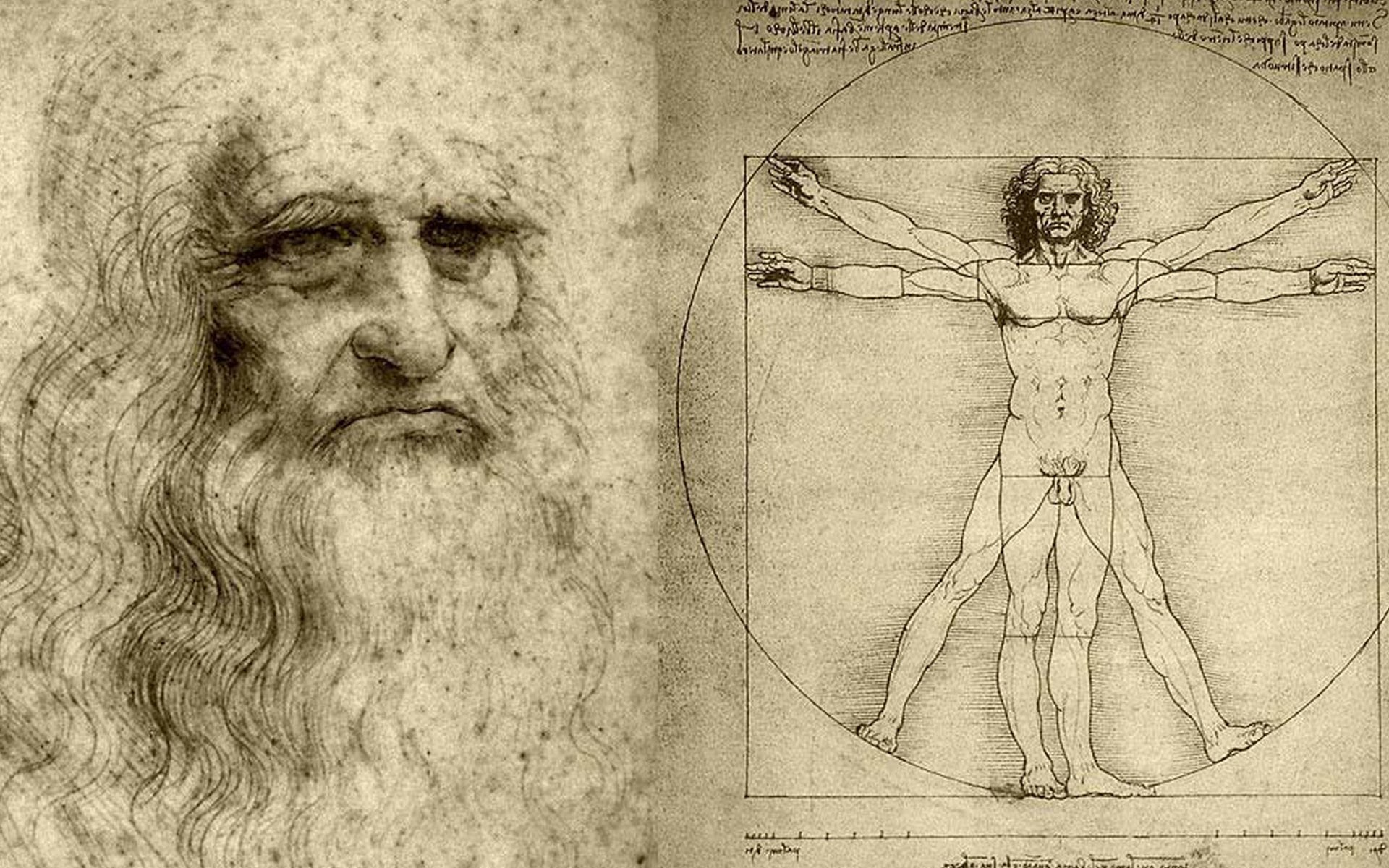 زارهای لئوناردو داوینچی - عکس آناتومی بدن انسان - وبلاگ شخصی حامد پروینی
