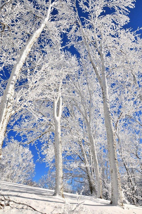 بهترین عکس پس زمینه زمستانی برای موبایل