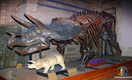 ملاقات نزدیک با دایناسورها در موزه تاریخ طبیعی لندن