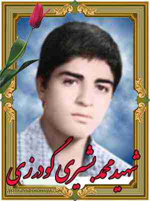 شهید محمد بشیری گودرزی ، شهدای اشترینان بروجرد 