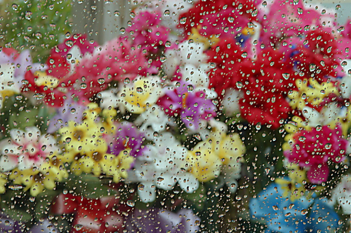 تصاویری زیبا از روز های بارانی