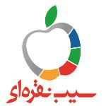 "انجمن ادبی سیب نقره ای"
