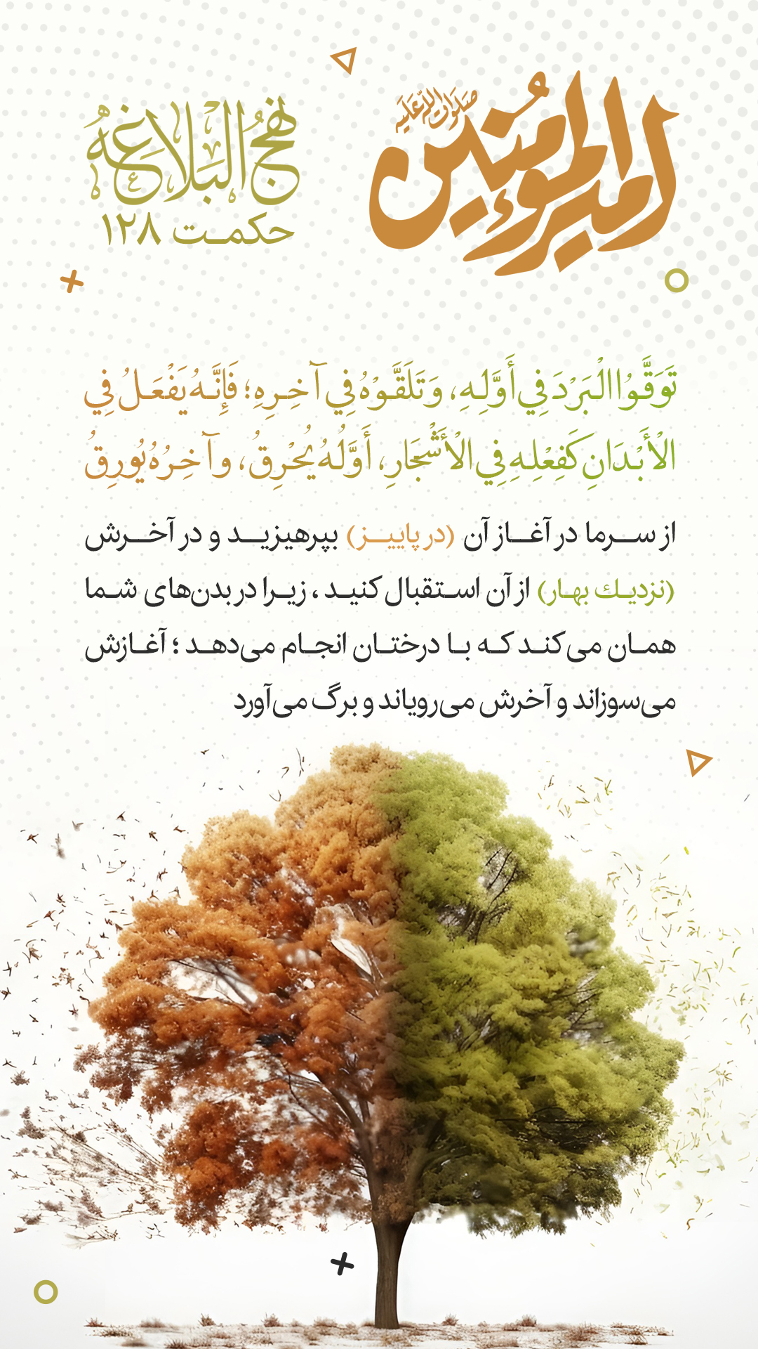 حکمت 128 نهج البلاغه