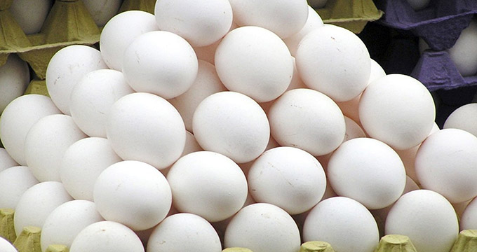 فروش تخم مرغ با شرط و شروط