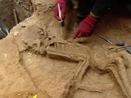 کشف اسکلت 7 هزار ساله در تهران