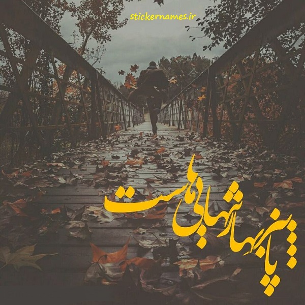 عکسهای پاییز یعنی عکسهای پاییز یعنی