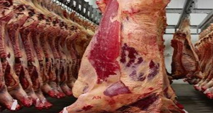 هجوم دلال‌ها به بازار واردات گوشت قرمز