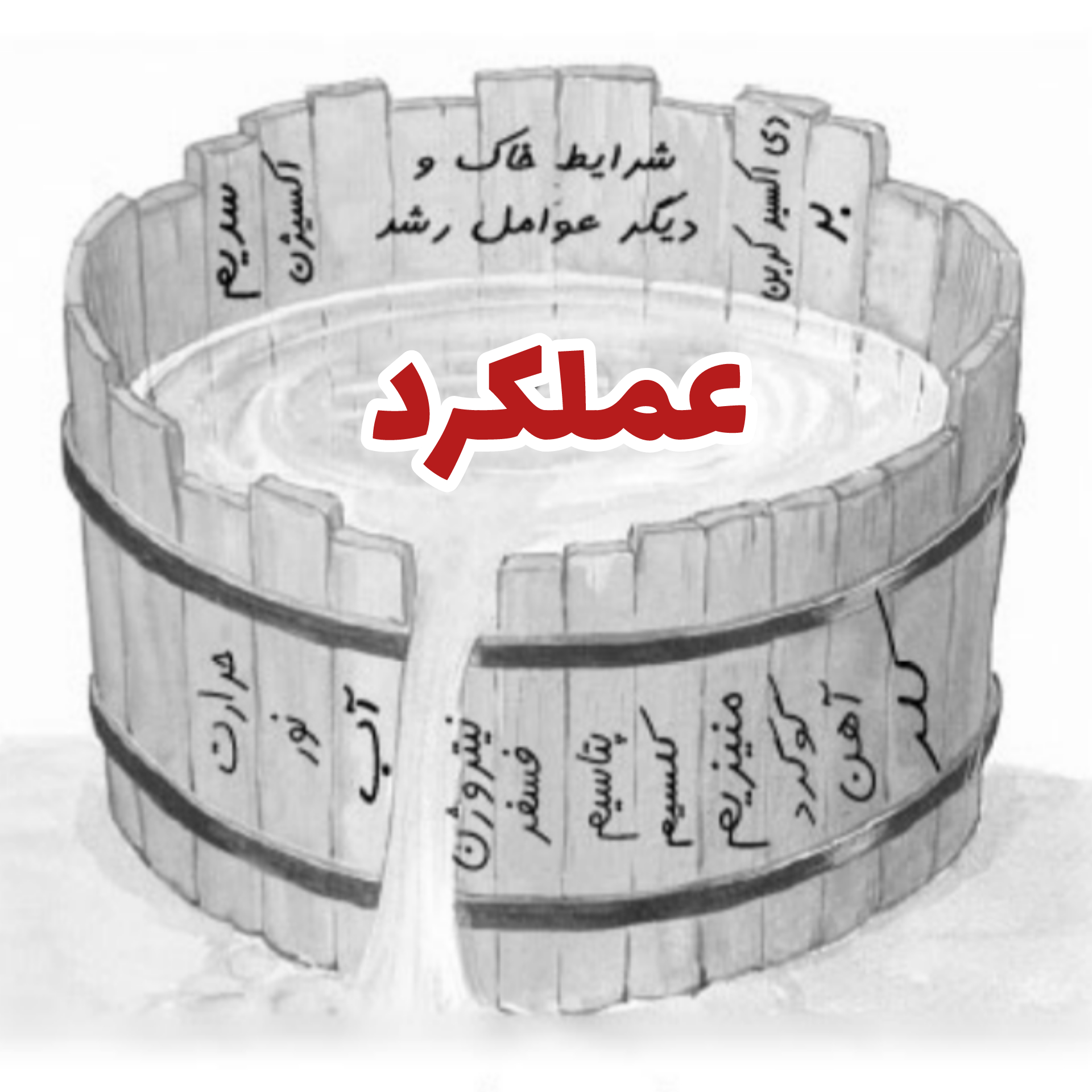 عملکرد گیاه