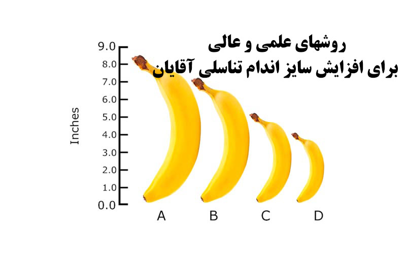 http://bayanbox.ir/view/6197221086366584683/%D8%B1%D9%88%D8%B4%D9%87%D8%A7%DB%8C-%D8%B9%D9%84%D9%85%DB%8C-%D9%88-%D8%B9%D8%A7%D9%84%DB%8C-%D8%A8%D8%B1%D8%A7%DB%8C-%D8%A7%D9%81%D8%B2%D8%A7%DB%8C%D8%B4-%D8%B3%D8%A7%DB%8C%D8%B2-%D8%A7%D9%86%D8%AF%D8%A7%D9%85-%D8%AA%D9%86%D8%A7%D8%B3%D9%84%DB%8C-%D8%A2%D9%82%D8%A7%DB%8C%D8%A7%D9%86.jpg