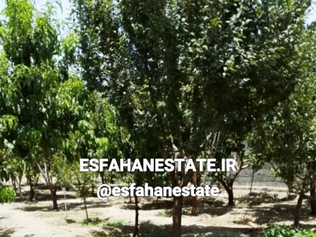 فروش باغ 1600 متری در سروش بادران اصفهان