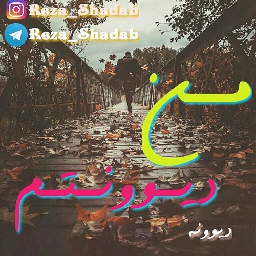 عکس نوشته دیوونه ی توام و متن پروفایل