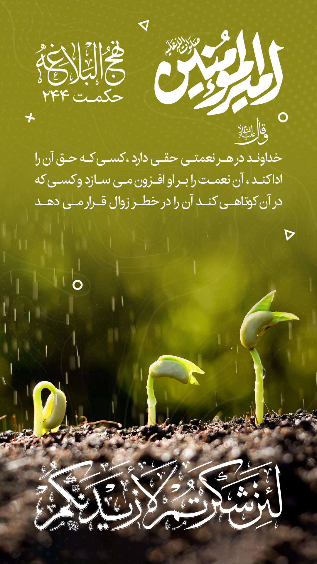 حکمت 244 نهج البلاغه