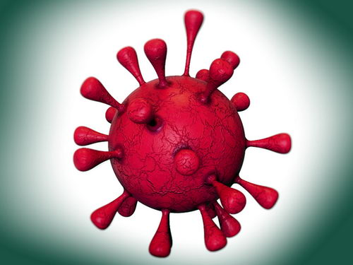 مدل سه بعدی آماده ویروس کرونا در سالیدورکس