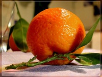 شب ها نارنگی بخورید تا خوب بخوابید