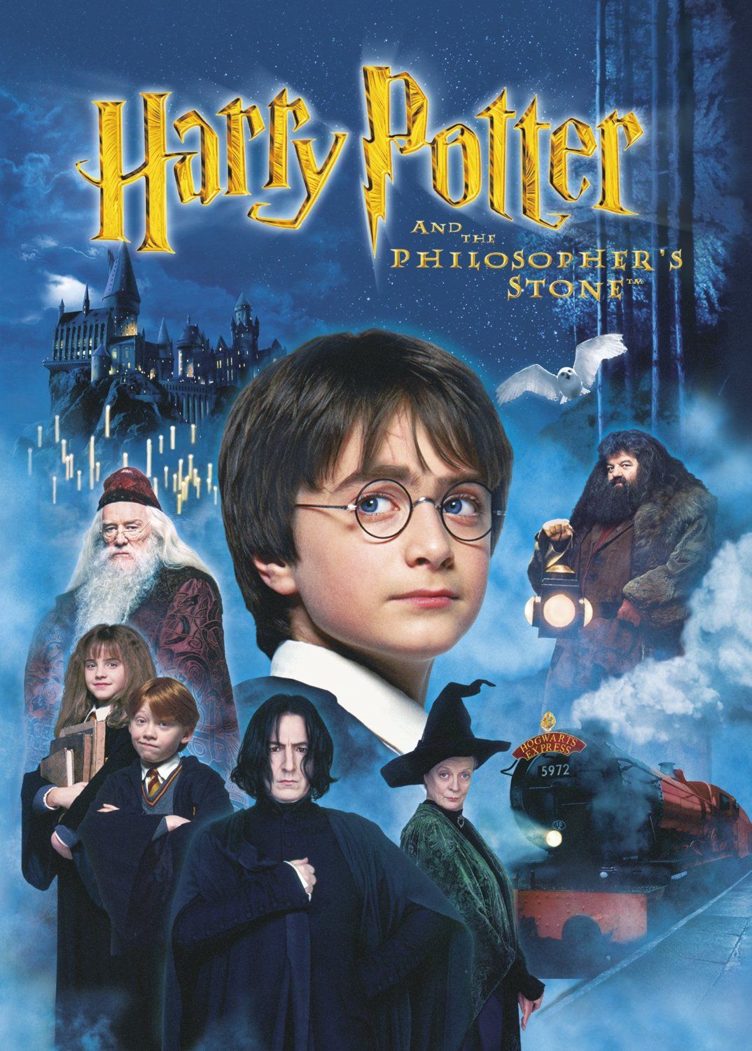 دانلود فیلم  Harry Potter and the Sorcerers Stone 2001