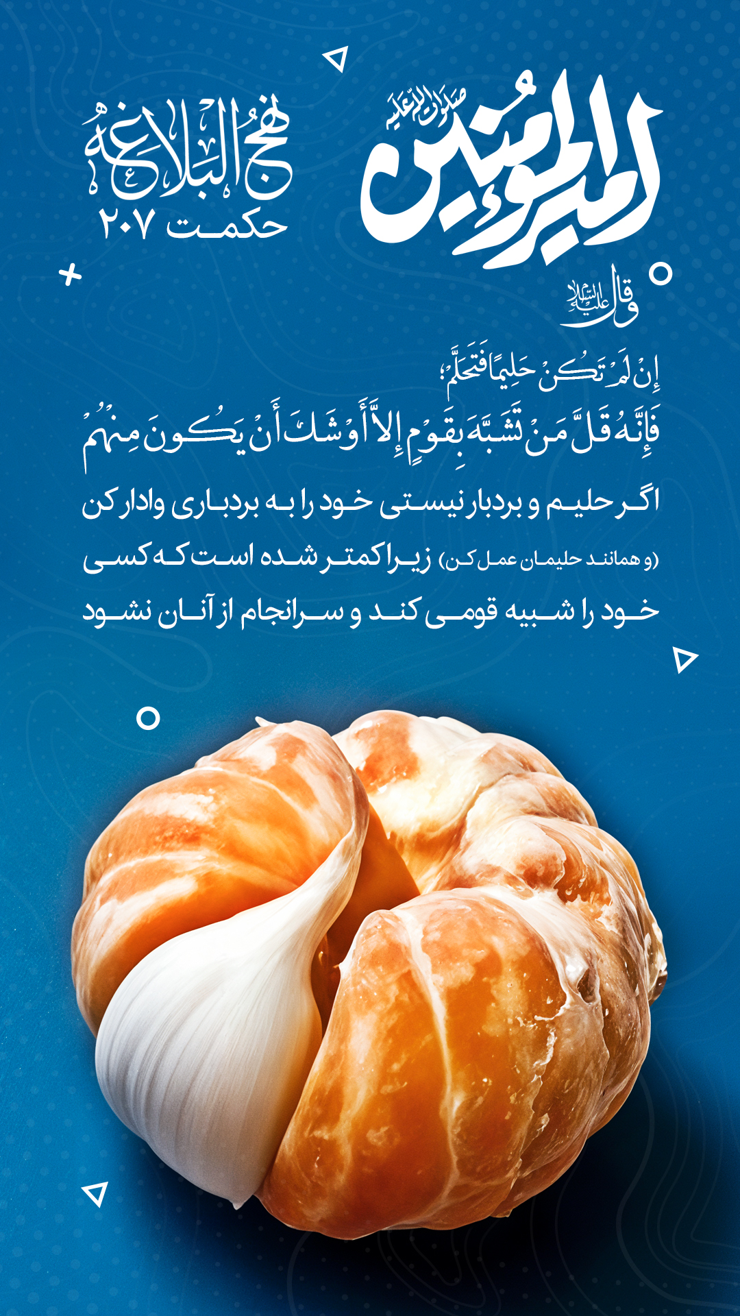 حکمت 207 نهج البلاغه