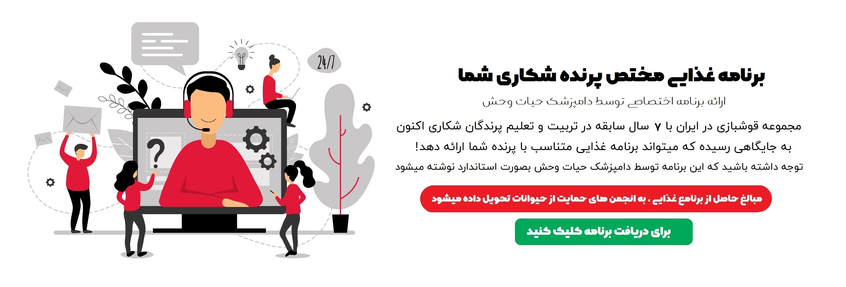 مجموعه قوشبازی در ایران