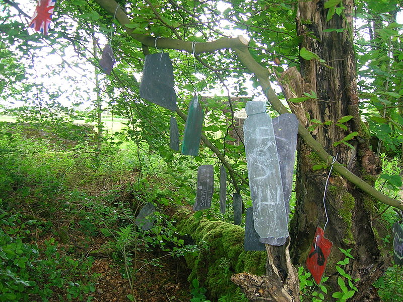 توسل به شاخه های درختان در اسکاتلند