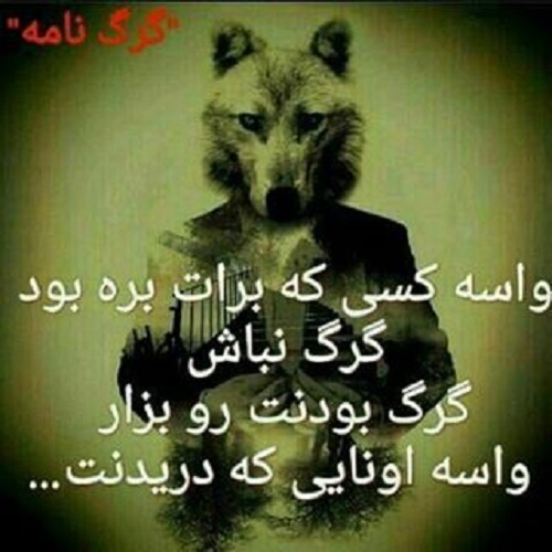 عکس نوشته گرگ باش با متن پروفایل