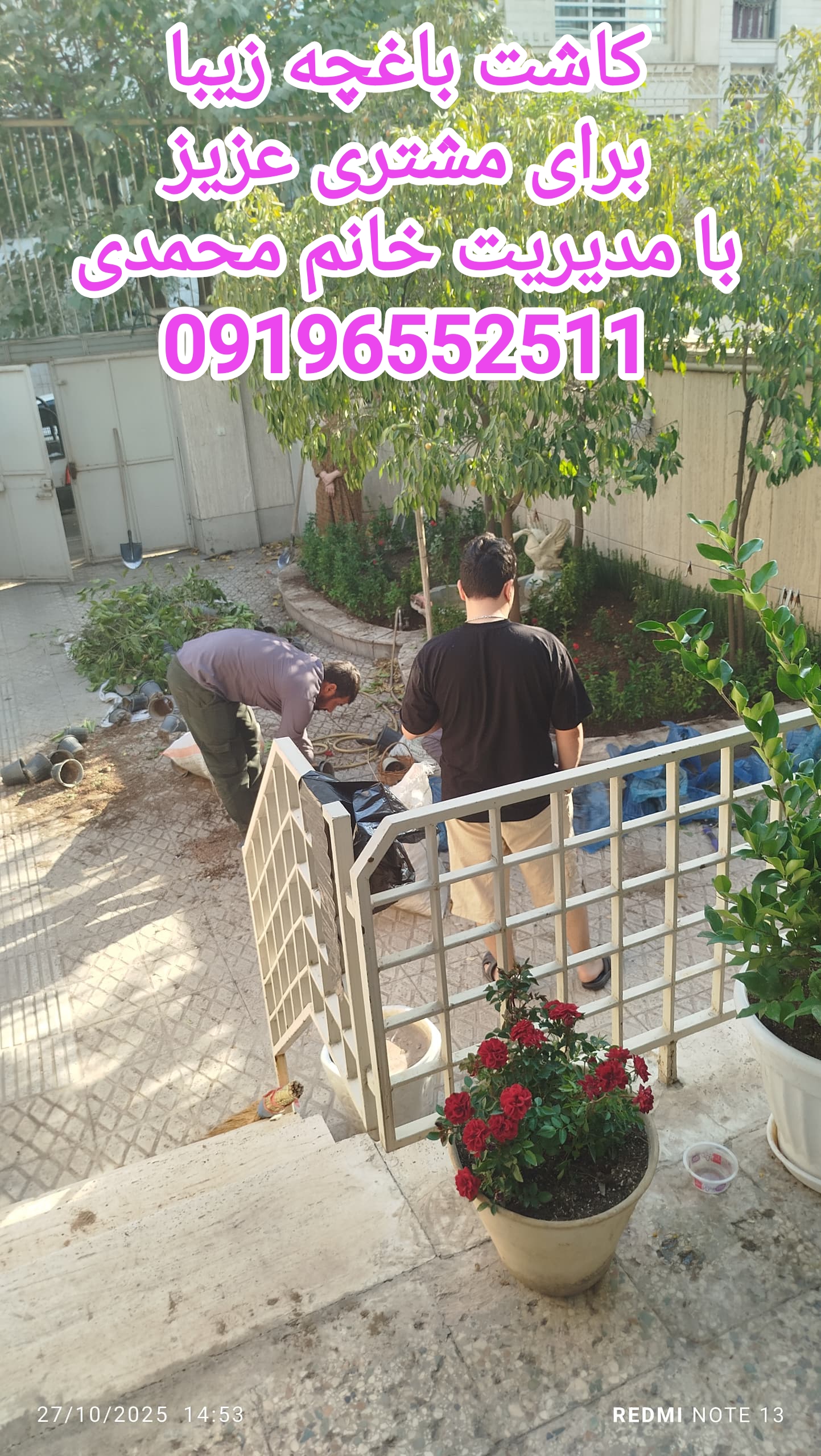 کاشت باغچه کوچک بزرگ وهرسکاری کلیه نقاط تهران مدیریت خانم محمدی 09196552511