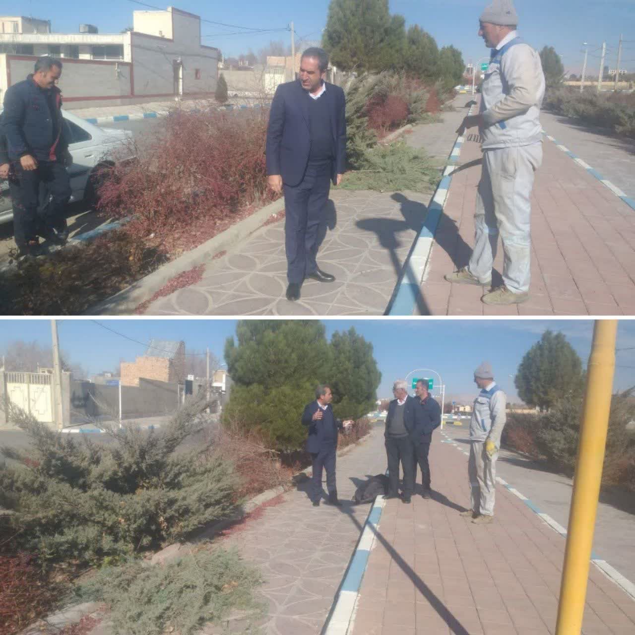 نظارت مستقیم شهردار بر نحوه هرس درختان و‌ فضای سبز سطح شهر با همراهی اعضای شورای اسلامی شهر