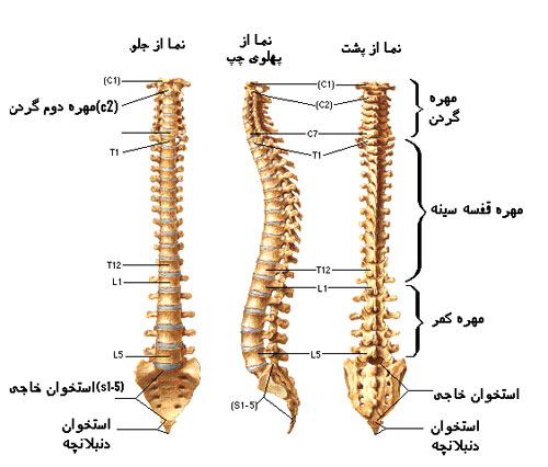 مراقبت از ستون فقرات 