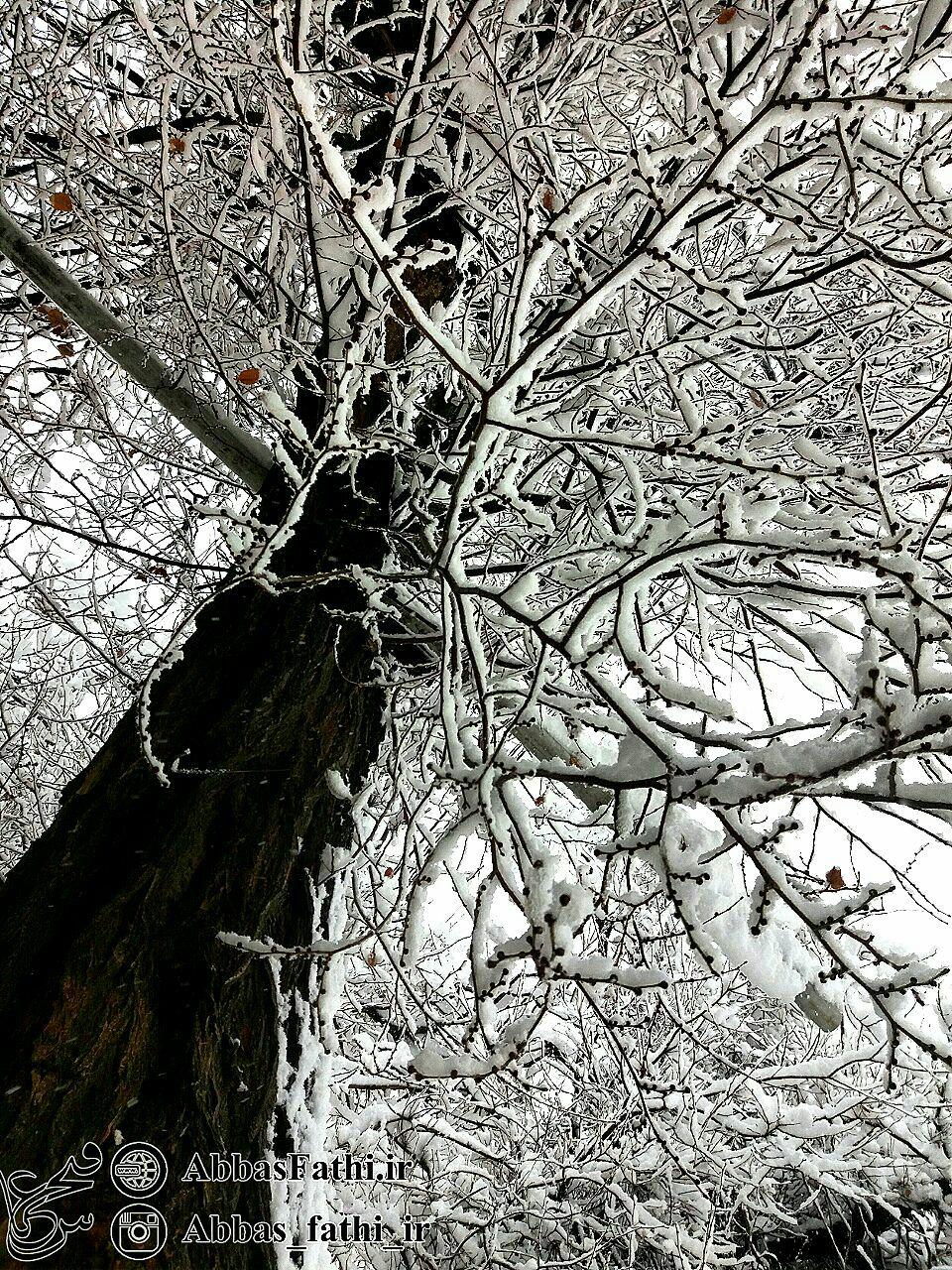 برف زیبا - اراک - 1395