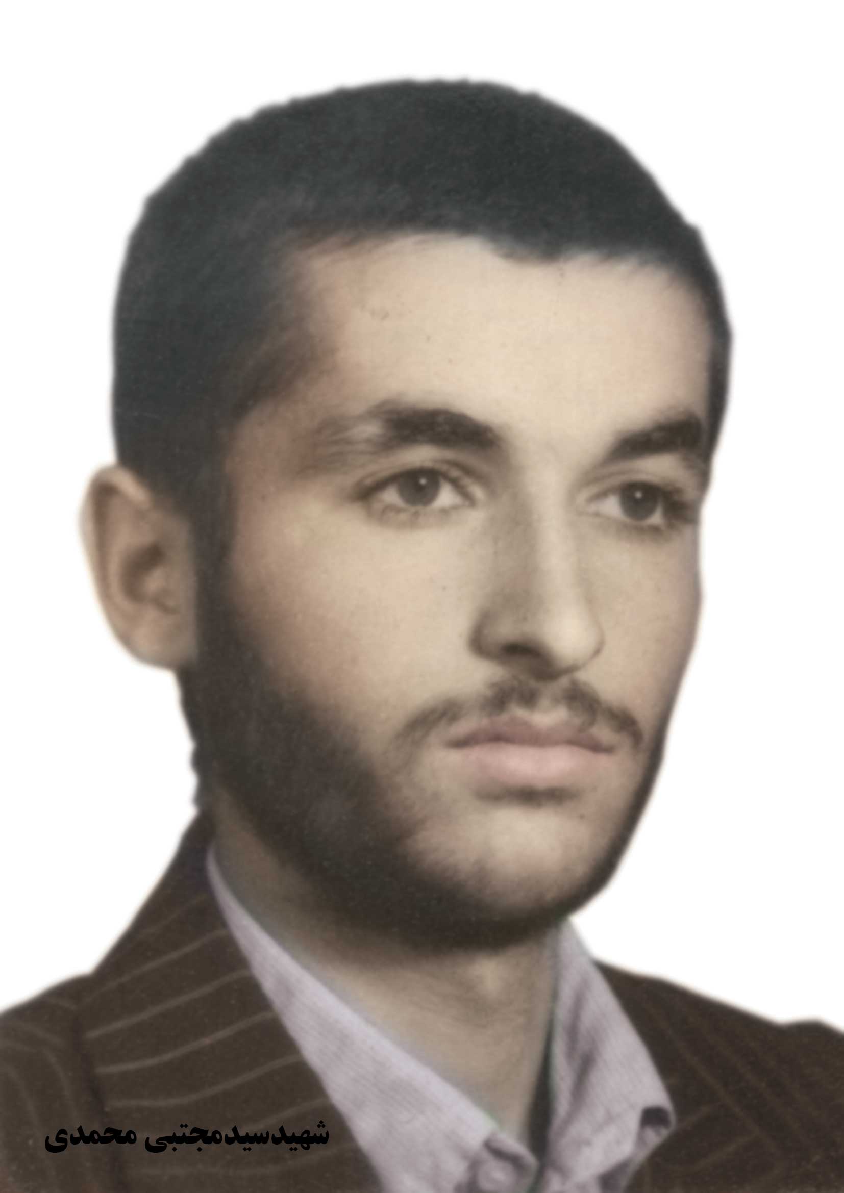 شهید محمدی-سیدمجتبی