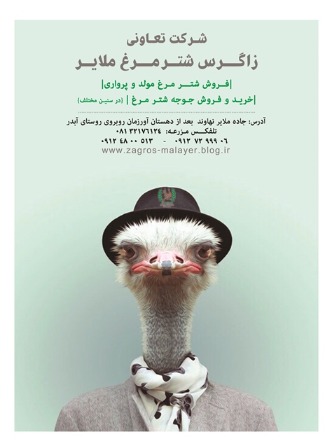 پوستر شرکت تعاونی زاگرس شتر مرغ