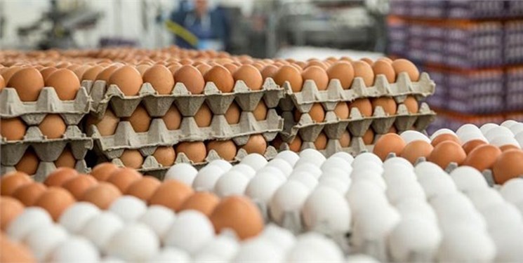 حدود دو تن تخم‌مرغ قاچاق در «بشرویه» کشف شد