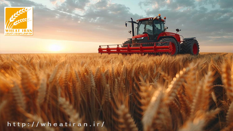 برداشت بیش از ۲۸ میلیون تنی غلات در اوکراین