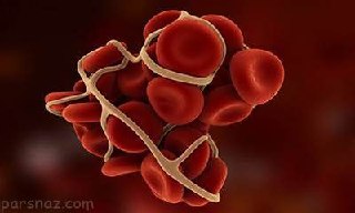 تصویری میکروسکوپیک از لخته خون