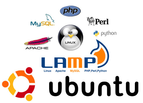  Apache , Mysql , PHP , PHPmyadmin و نصب wordpress در اوبونتو 