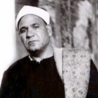 محمد ابوزید - 2