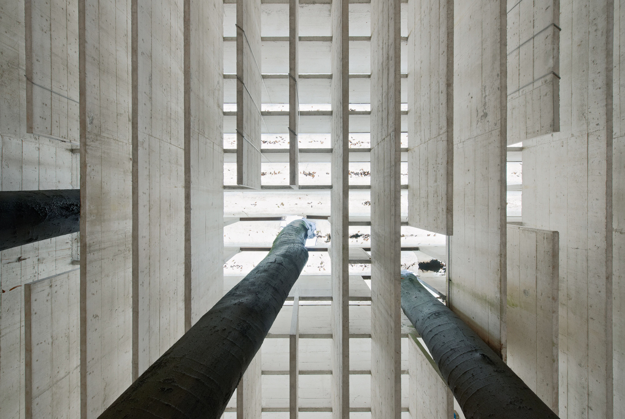 The Nordic Pavilion (Giardini, Venice). Image © Åke E:son Lindman