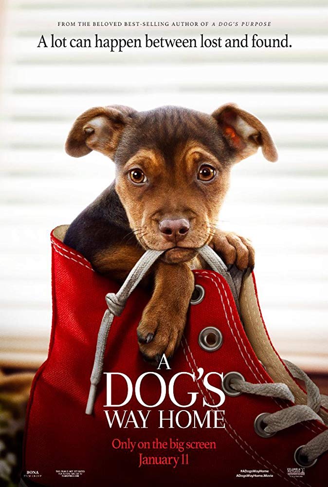 دانلود زیرنویس فارسی فیلم A Dog’s Way Home 2019