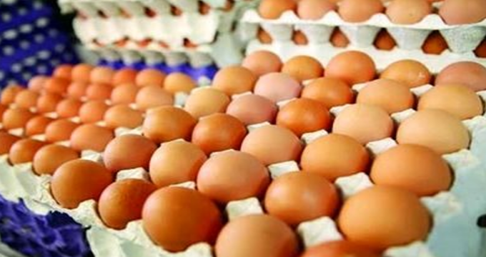 بازار تسلیم تخم مرغ وارداتی شد