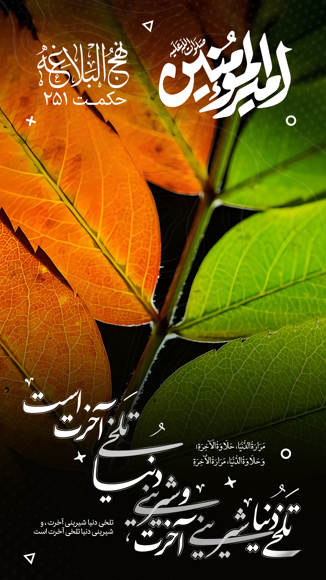 حکمت 251 نهج البلاغه