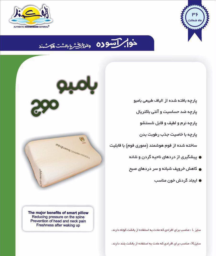 بالش