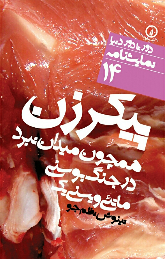 پیکر زن همچون میدان نبرد در جنگ بوسنی