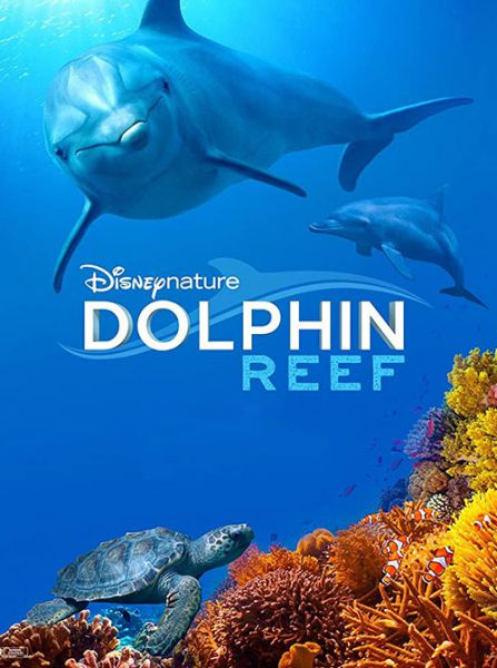  Dolphin Reef 2020 
