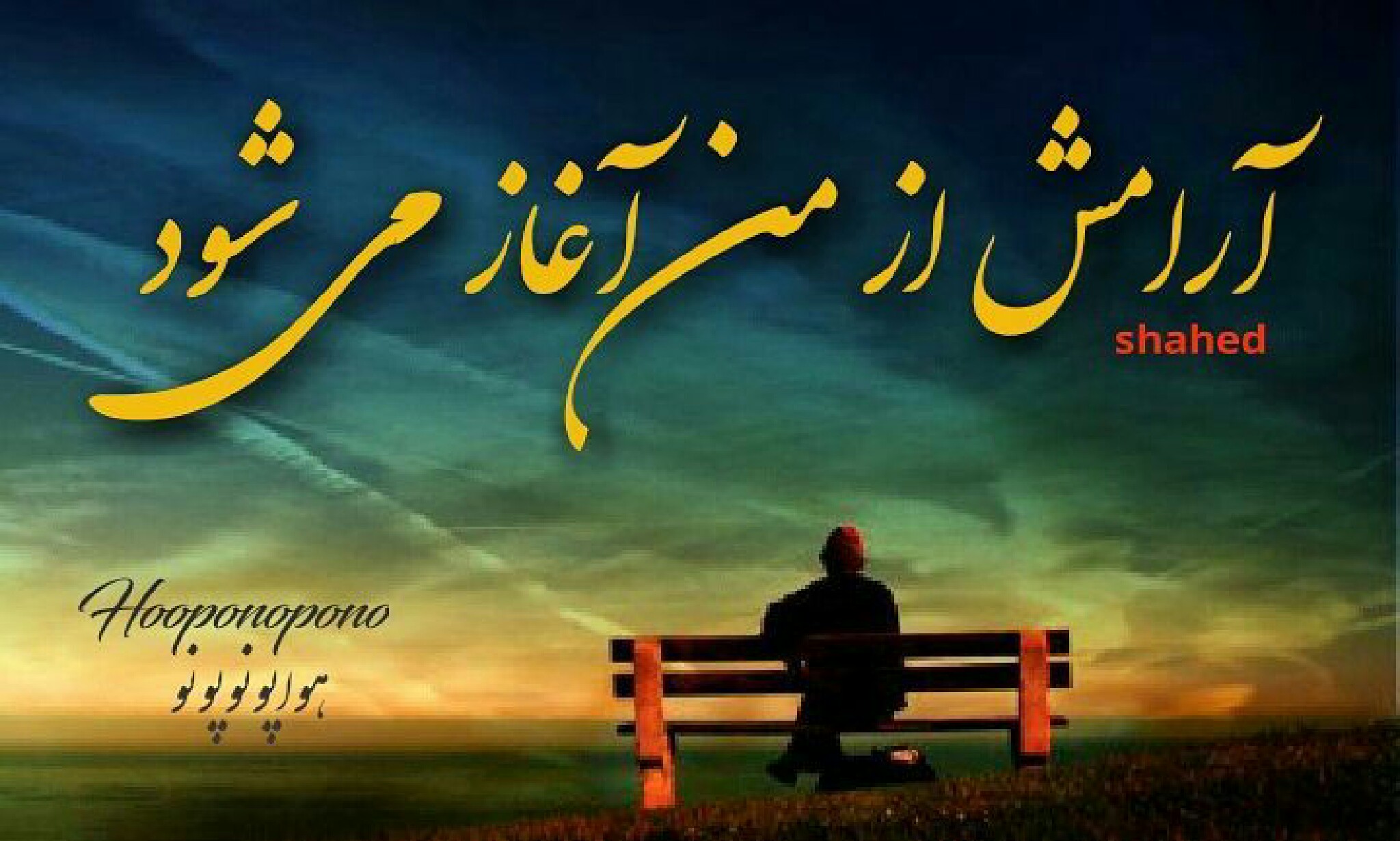 پاکسازی